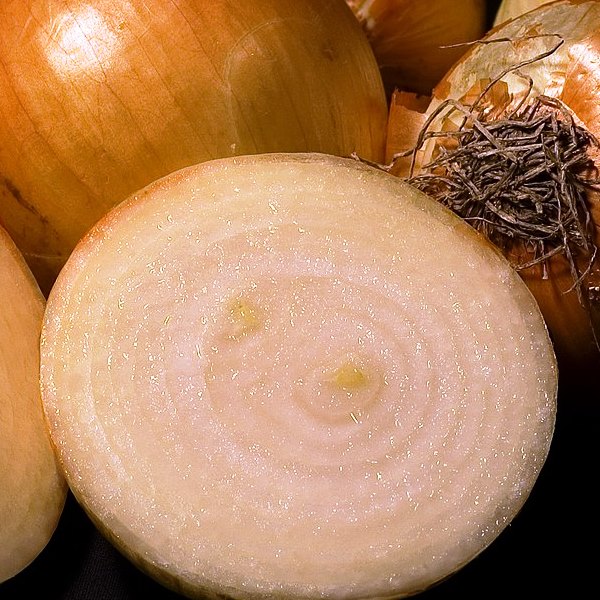 vöröshagyma